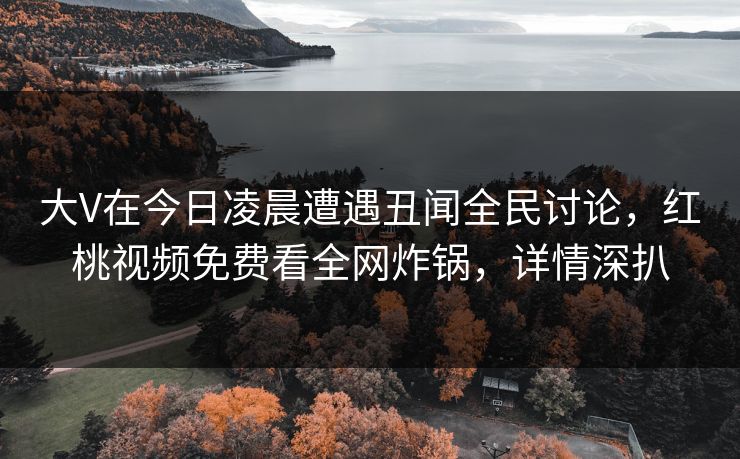 大V在今日凌晨遭遇丑闻全民讨论，红桃视频免费看全网炸锅，详情深扒