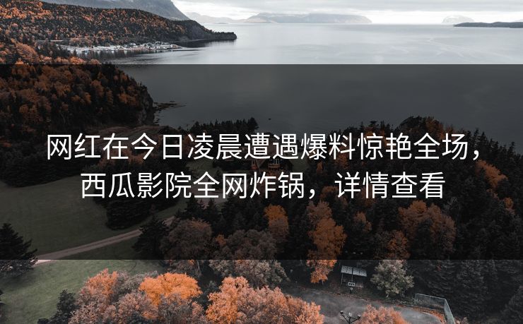 网红在今日凌晨遭遇爆料惊艳全场，西瓜影院全网炸锅，详情查看